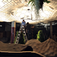 Illustration for article titled The Experimental Jungle Room Where NYC's Underground Park Is Taking Root